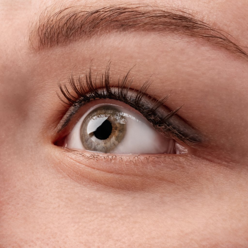 Magnetic eyelashes, Magnetic eyelashes